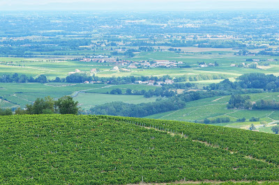 Brouilly, La Montagne Bleue à Odenas