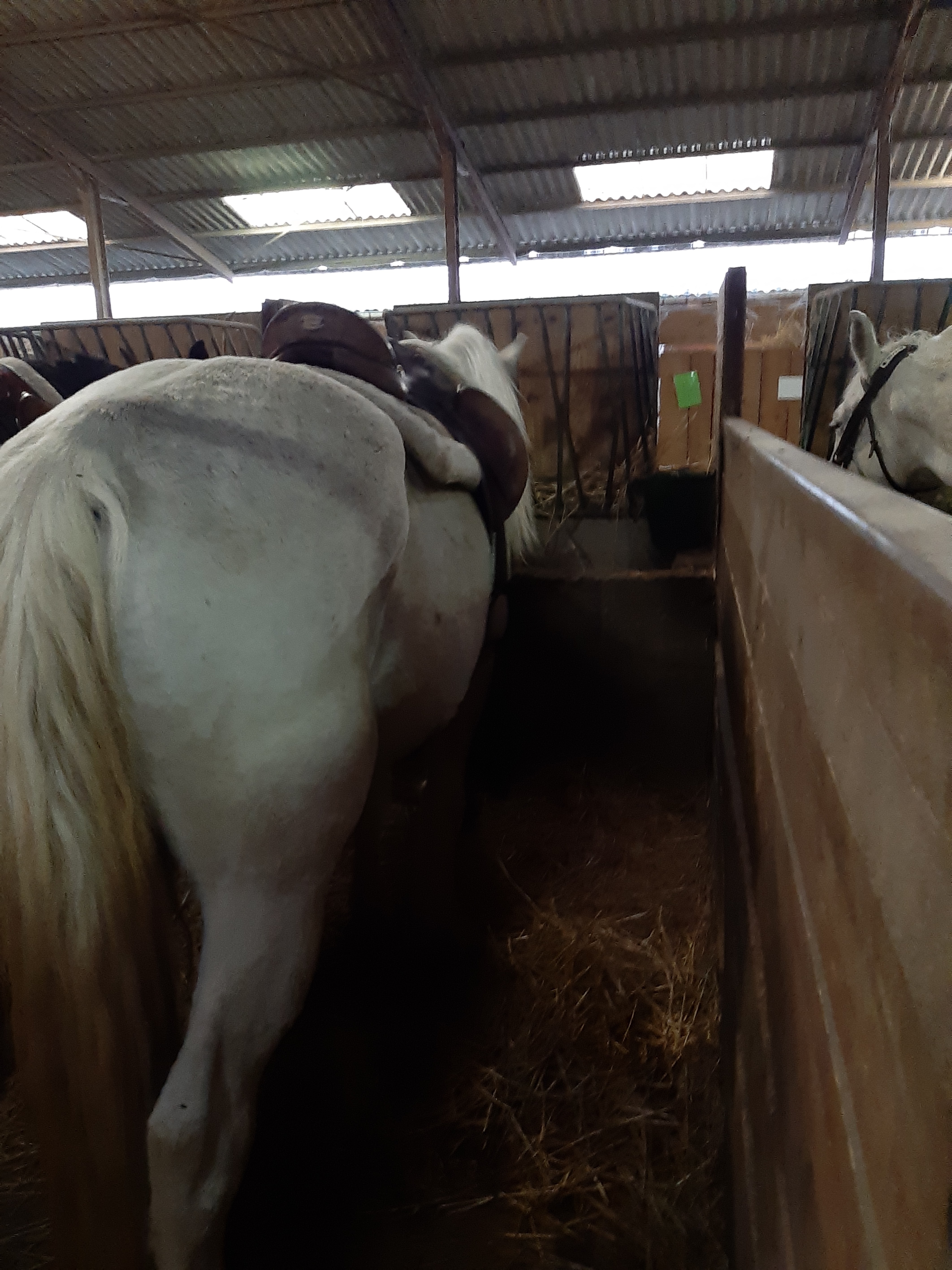 Photo n° 3 de l'avis de Karine.A fait le 01/11/2019 à 18:26