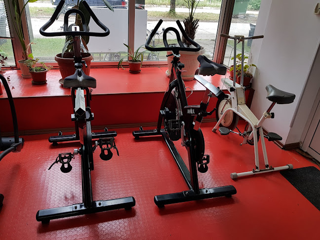 Център, ул. „Христо Ботев“ 5980, 5980 Червен бряг