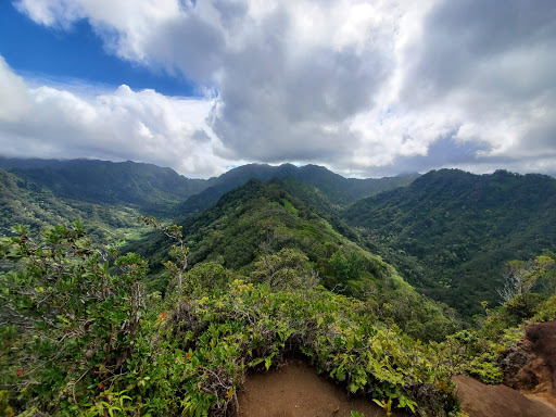 Moanalua Valley Trail Start (Kulana'ahane)