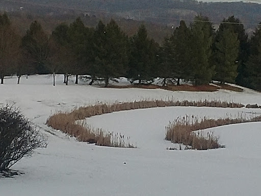 Lodge «The Lodge at Liberty Forge», reviews and photos, 3804 Lisburn Rd, Mechanicsburg, PA 17055, USA