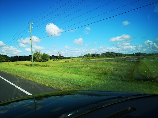 Nature Preserve «Conner Preserve», reviews and photos, 22500 FL-52, Land O Lakes, FL 34637, USA