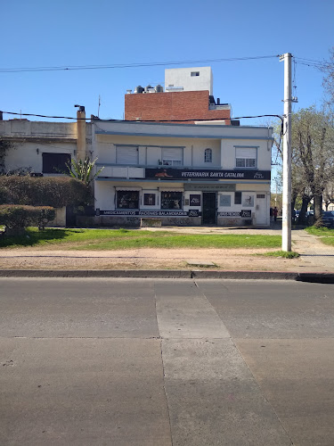 Opiniones de Veterinaria Santa Catalina en Montevideo - Veterinario