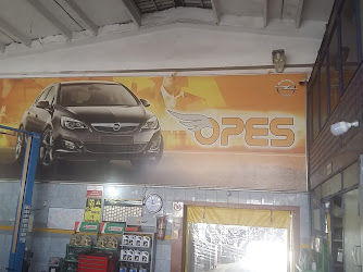 Özel Servis