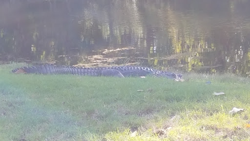 Golf Course «Golden Bear Golf Club at Indigo Run», reviews and photos, 100 Indigo Run Dr, Hilton Head Island, SC 29926, USA