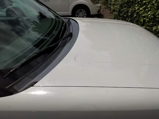 Car Wash «Palomar Hand Car Wash», reviews and photos, 6019 Paseo Del Norte, Carlsbad, CA 92011, USA