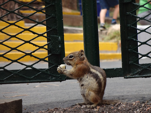 Amusement Park «North Pole Colorado Santa’s Workshop», reviews and photos, 5050 Pikes Peak Hwy, Cascade, CO 80809, USA