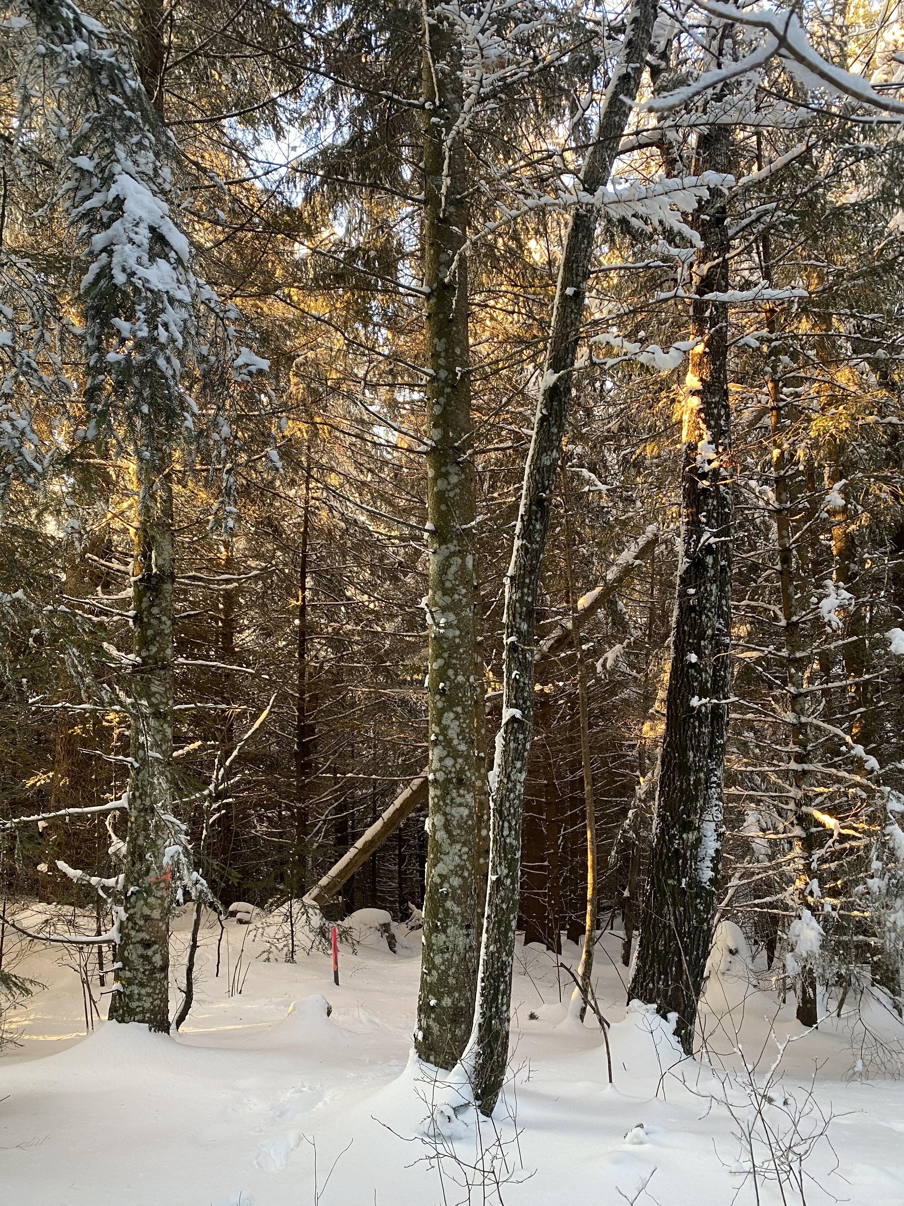 Photo n° 3 de l'avis de Loris.A fait le 09/01/2021 à 14:22