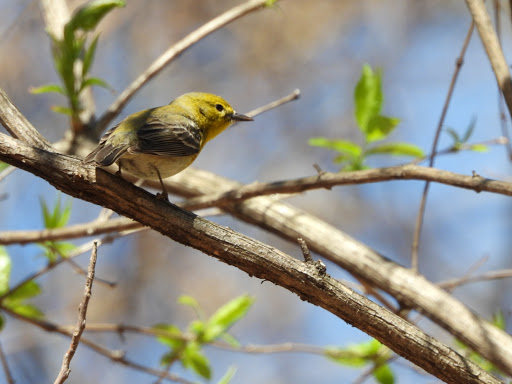 Park «The Loch», reviews and photos, Central Park West, New York, NY 10026, USA