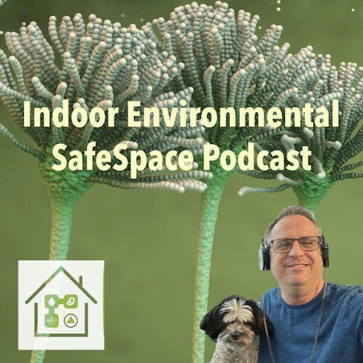 Indoor Environmental Safe Space Network