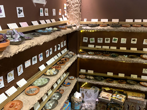 Toy Store «Science Safari Inc.», reviews and photos, 1255 Kildaire Farm Rd, Cary, NC 27511, USA