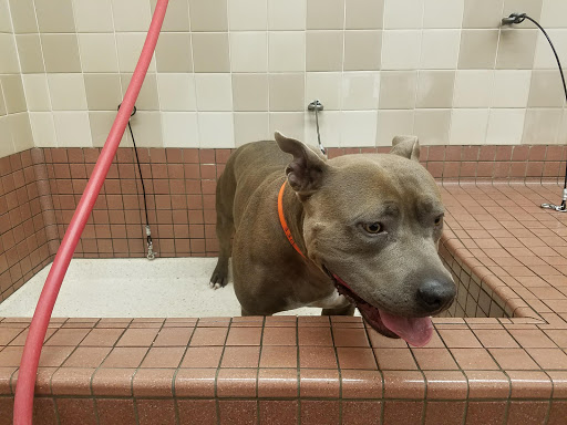 Pet Supply Store «Pet Food Express», reviews and photos, 2531 Fair Oaks Blvd, Sacramento, CA 95825, USA