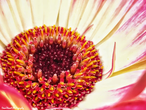 Home Improvement Store «The Home Depot», reviews and photos, 56 Myrick St, Ellsworth, ME 04605, USA