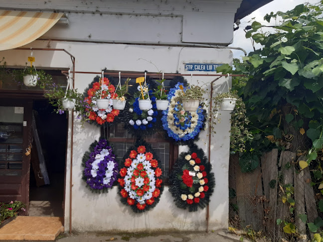 Funerare La Moise Servicii Funerare Calimanesti, Valcea. Pompe Funebre Non Stop Valcea - <nil>