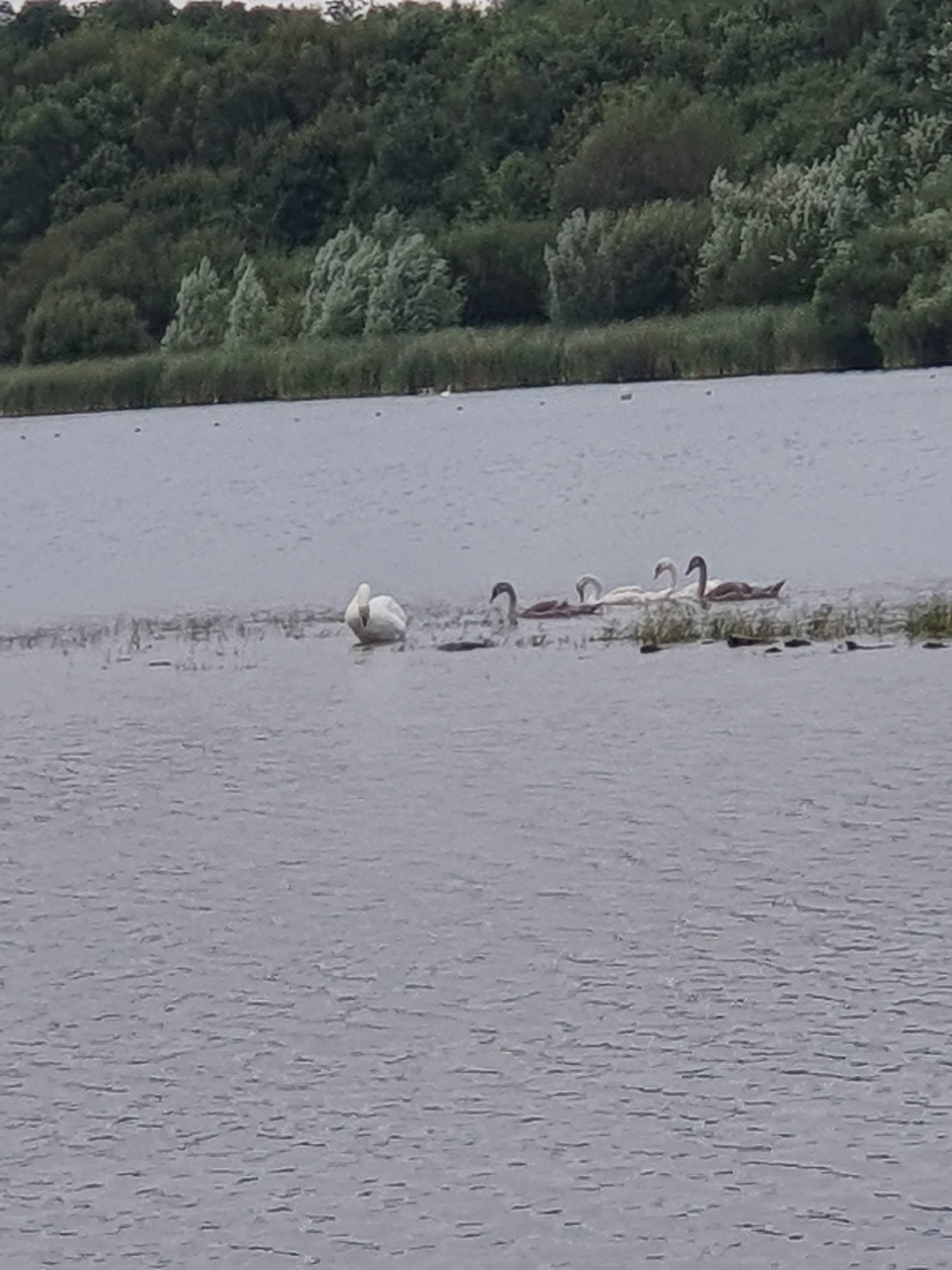 Photo n° 32 de l'avis de Liliane.o fait le 17/08/2019 à 10:37