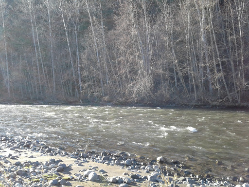 Public Golf Course «White River Disc Golf Course», reviews and photos, 2401 Stuck River Dr, Auburn, WA 98092, USA