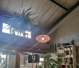 Bamboo Garden Restaurant photo