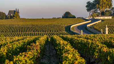 Les Taxis du Pays Médoc à Moulis-en-Médoc