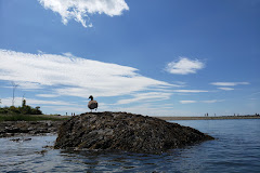 Charles Island Natural Area Preserve