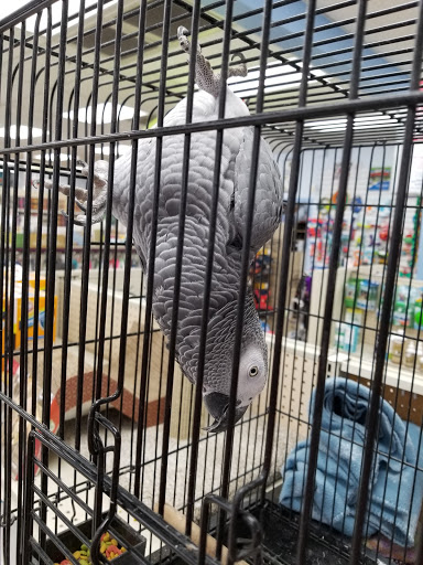 Pet Supply Store «Pet Barn», reviews and photos, 12675A NW Cornell Rd, Portland, OR 97229, USA