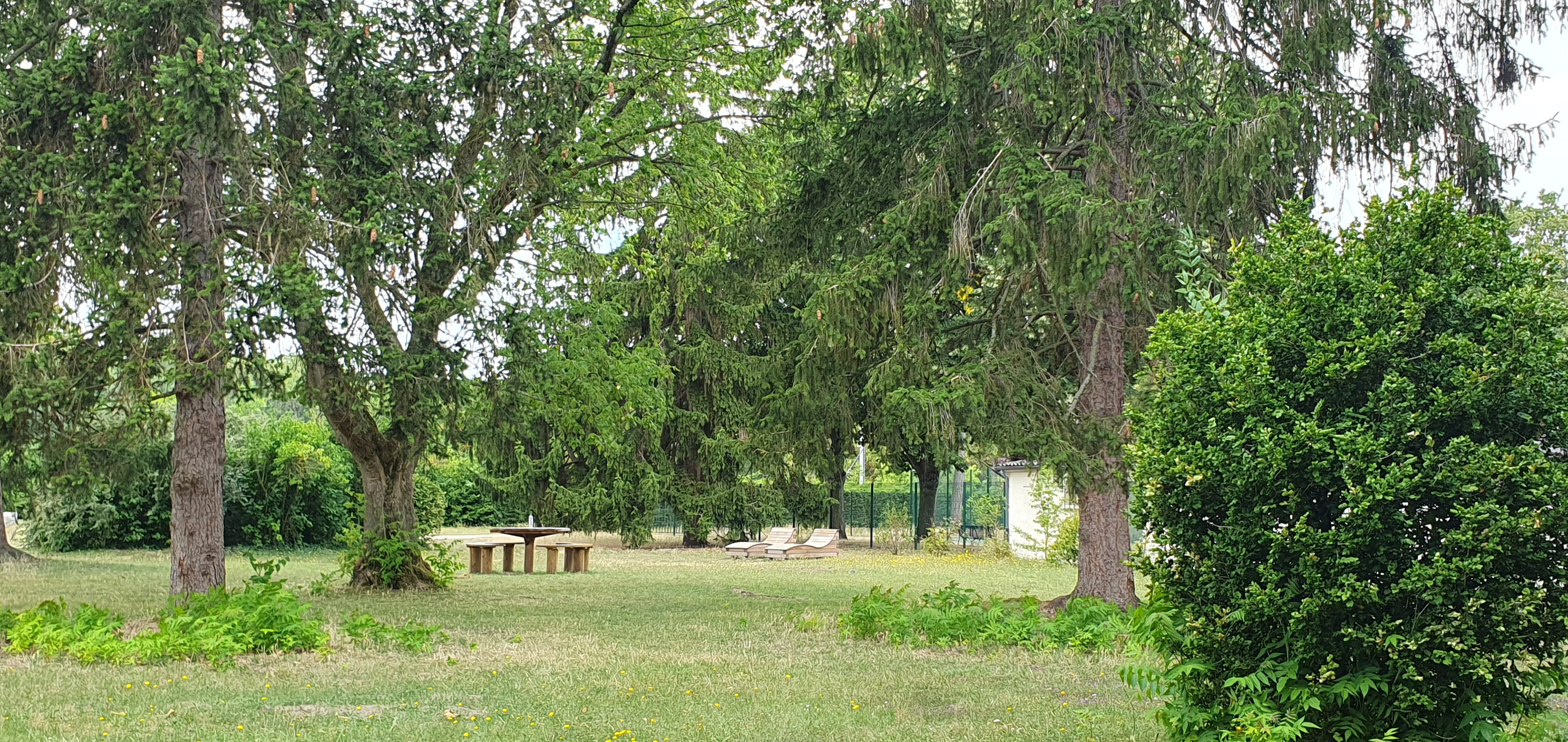 Photo n° 12 de l'avis de Paparazzi.x fait le 23/07/2023 à 08:48