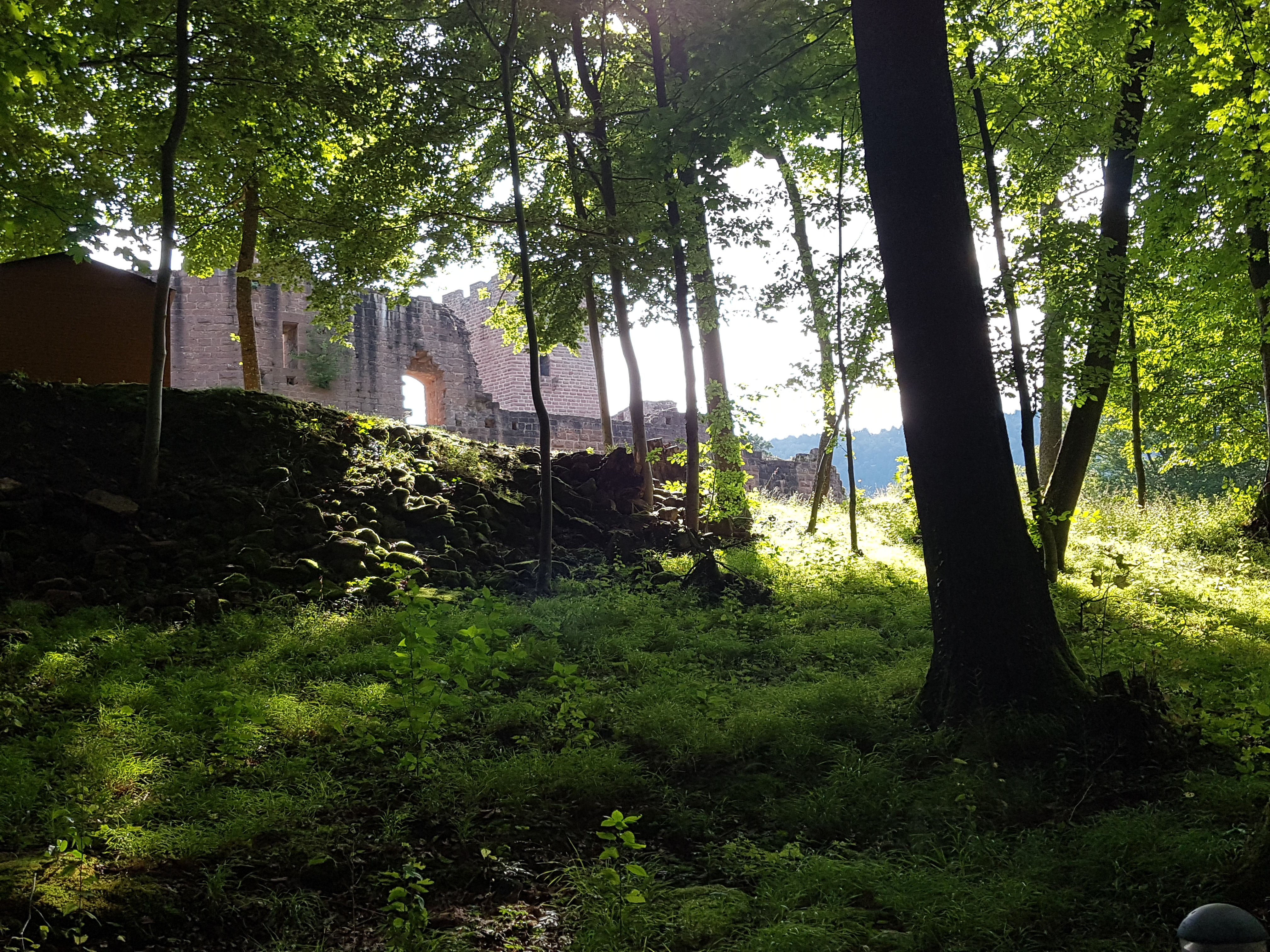 Photo n° 6 de l'avis de Ryo.a fait le 04/08/2017 à 18:41