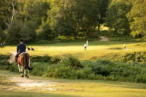 Bramshaw Golf Club image