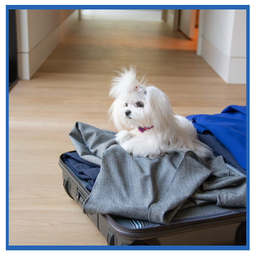 Dry Cleaner «American Cleaners», reviews and photos, 360 NY-211, Middletown, NY 10940, USA