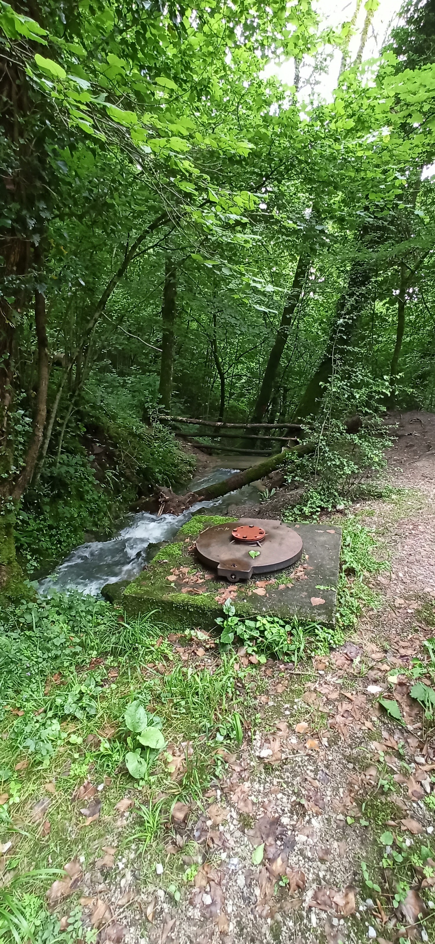Photo n° 3 de l'avis de Picatchu.a fait le 14/07/2021 à 15:54