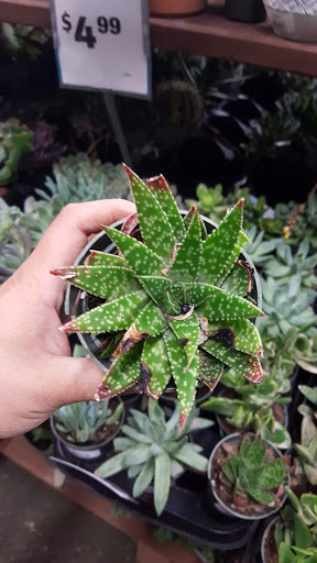 Hardware Store «Orchard Supply Hardware», reviews and photos, 2245 Gellert Blvd, South San Francisco, CA 94080, USA