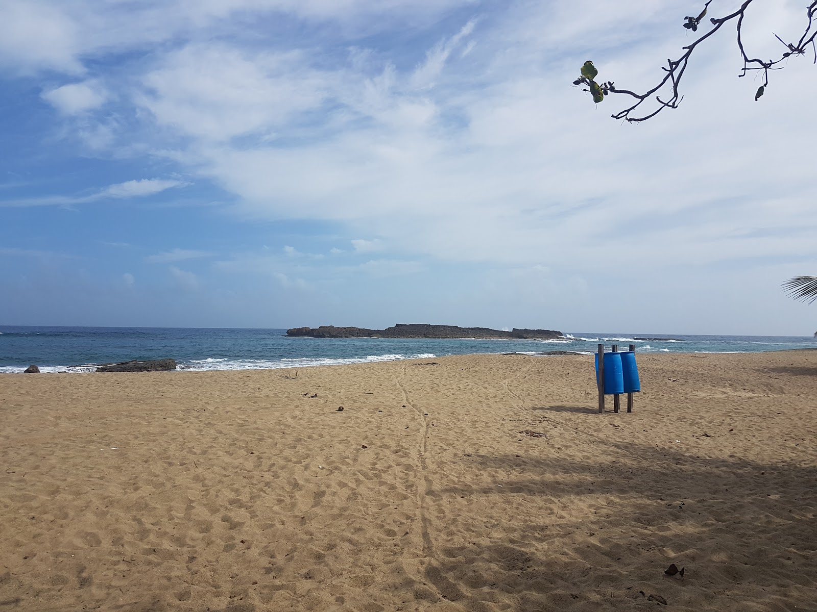 Φωτογραφία του Los Pinos beach άγρια περιοχή