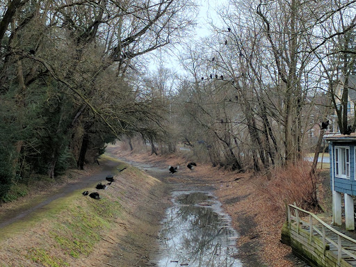 Caterer «Fig Tree Market & Catering», reviews and photos, 715 Durham St, Riegelsville, PA 18077, USA