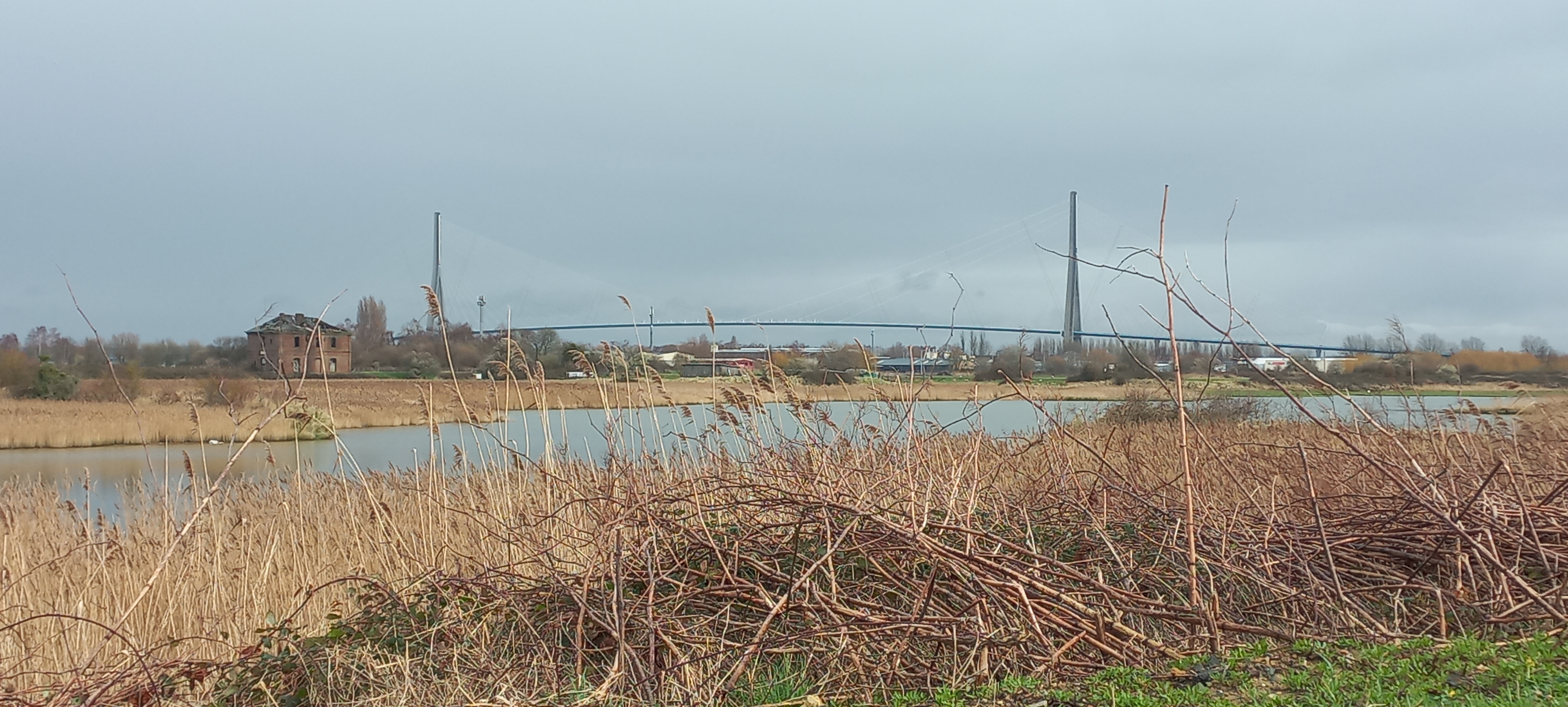 Photo n° 4 de l'avis de jardindelanoe. fait le 25/02/2024 à 08:57