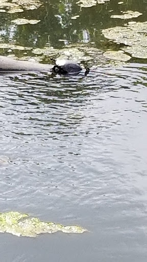 Golf Course «Bel-Aire Golf Course», reviews and photos, 3120 Allaire Rd, Wall Township, NJ 07719, USA