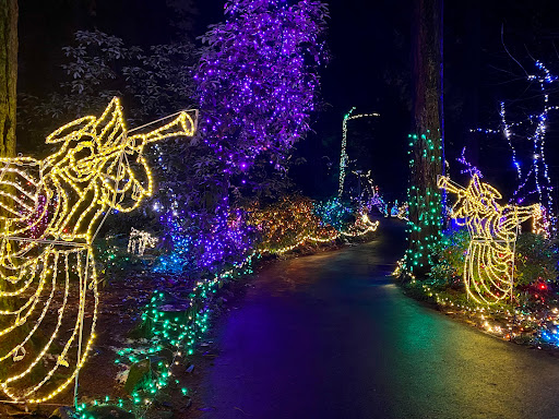 Place of Worship «The Grotto», reviews and photos, 8840 NE Skidmore St, Portland, OR 97220, USA