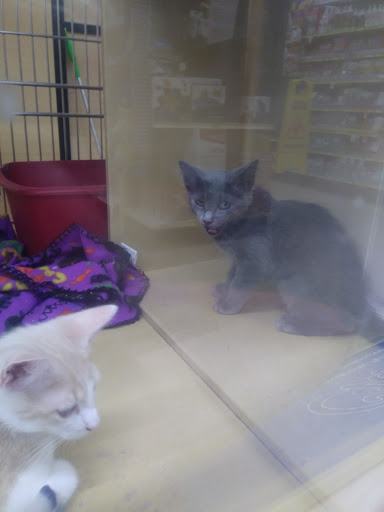 Pet Supply Store «PetSmart», reviews and photos, 1810 Cumming Hwy, Canton, GA 30114, USA