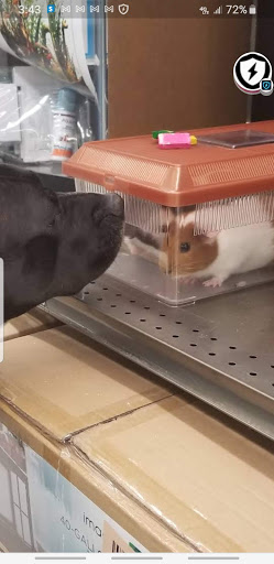 Pet Supply Store «Petco Animal Supplies», reviews and photos, 825 Hartford Turnpike, Waterford, CT 06385, USA