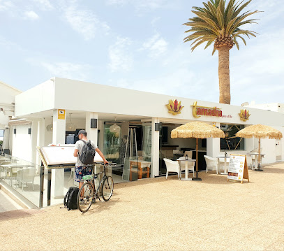Tamasha Lanzarote | Best Indian Restaurant Puerto  - Av. de las Playas, 76, 35510 Tías, Las Palmas, Spain