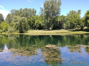 Jansen Park LLC - photo 77