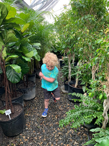 Florist «Little Eden Plantscaping», reviews and photos, 15550 W 72nd Ave, Arvada, CO 80007, USA