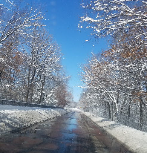 Park «Theodore Wirth Regional Park», reviews and photos, 1339 Theodore Wirth Pkwy, Golden Valley, MN 55422, USA