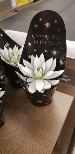 Supermarket «ALDI», reviews and photos, 500 W Main St, Hendersonville, TN 37075, USA