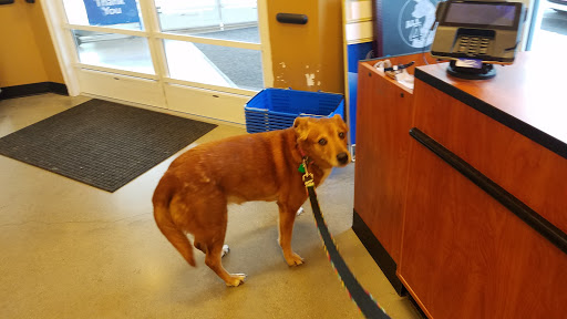 Pet Supply Store «PetSmart», reviews and photos, 5226 S College Rd, Wilmington, NC 28412, USA