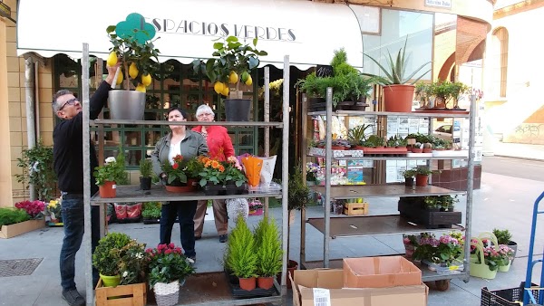 Floristería Espacios Verdes