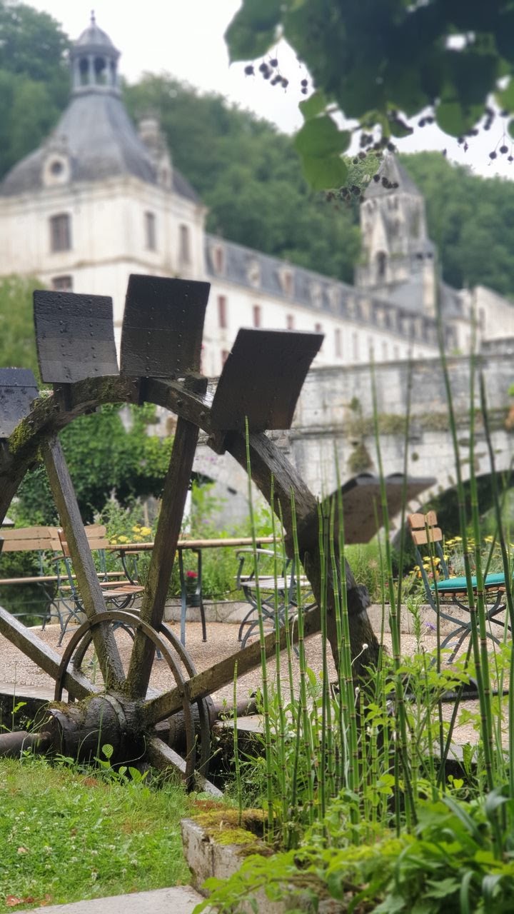 Photo n° 1 de l'avis de Soline.o fait le 14/08/2022 à 14:21