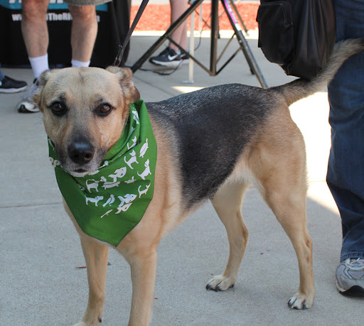 Pet Supply Store «Pet Supplies Plus», reviews and photos, 180 N Randall Rd, North Aurora, IL 60542, USA