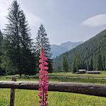 Photo n°4 de l'avis de Andrés.i fait le 19/07/2023 à 06:58 sur le  Albergo Ristorante Bar Al Fontanin à Rabbi