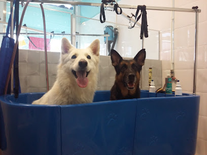 Kiandu y Uma la pelu canina del nuevo parque - Servicios para mascota en Huelva