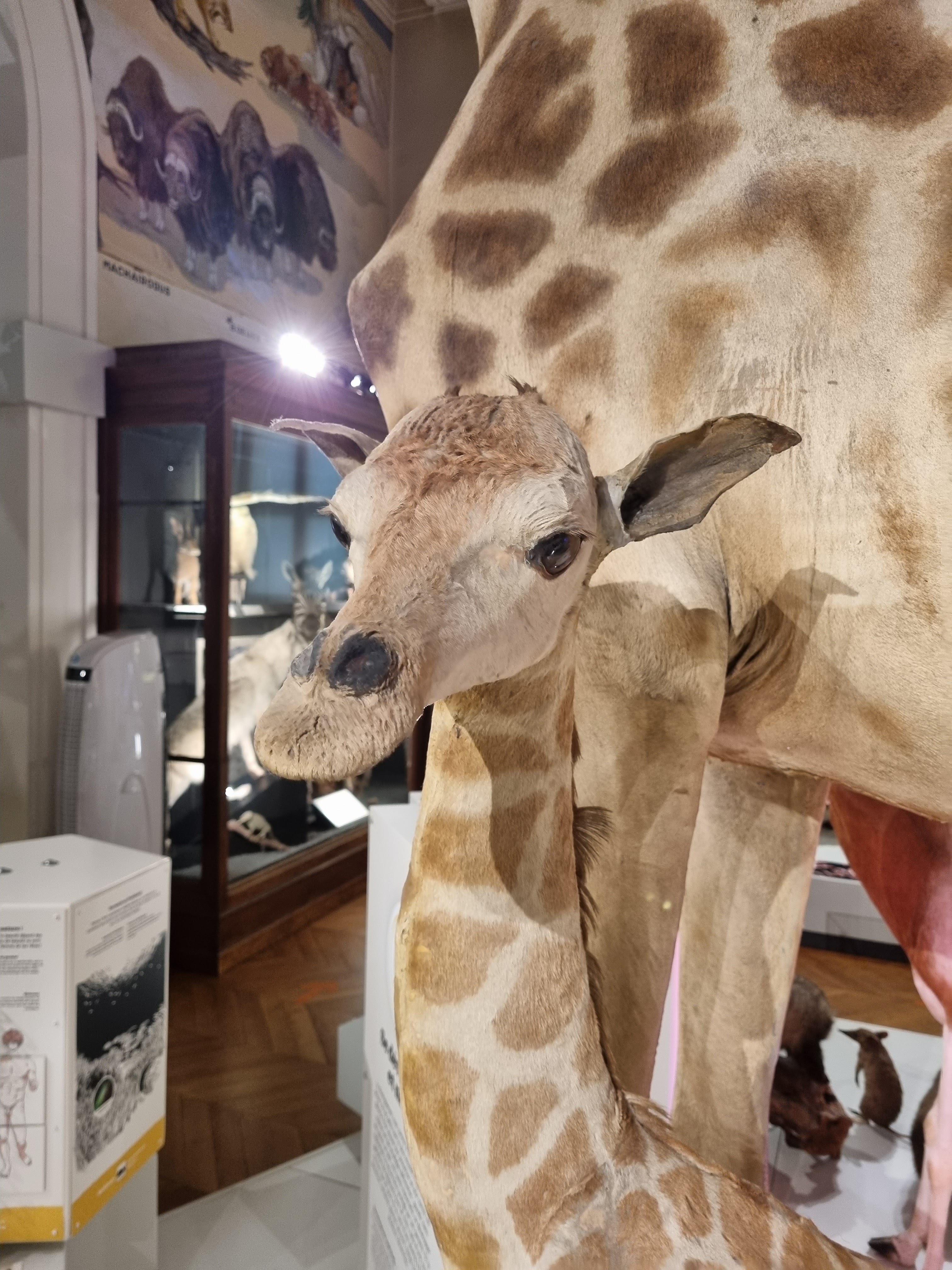 Photo n° 5 de l'avis de Jean-Louis.E fait le 15/08/2023 à 21:58