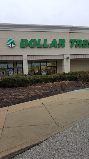 Dollar Store «Dollar Tree», reviews and photos, 3208 Kirchoff Rd, Rolling Meadows, IL 60008, USA